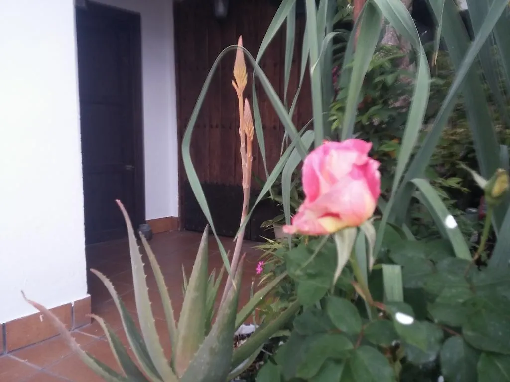 Balcon Del Velillos-