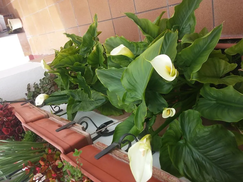 Balcon Del Velillos-