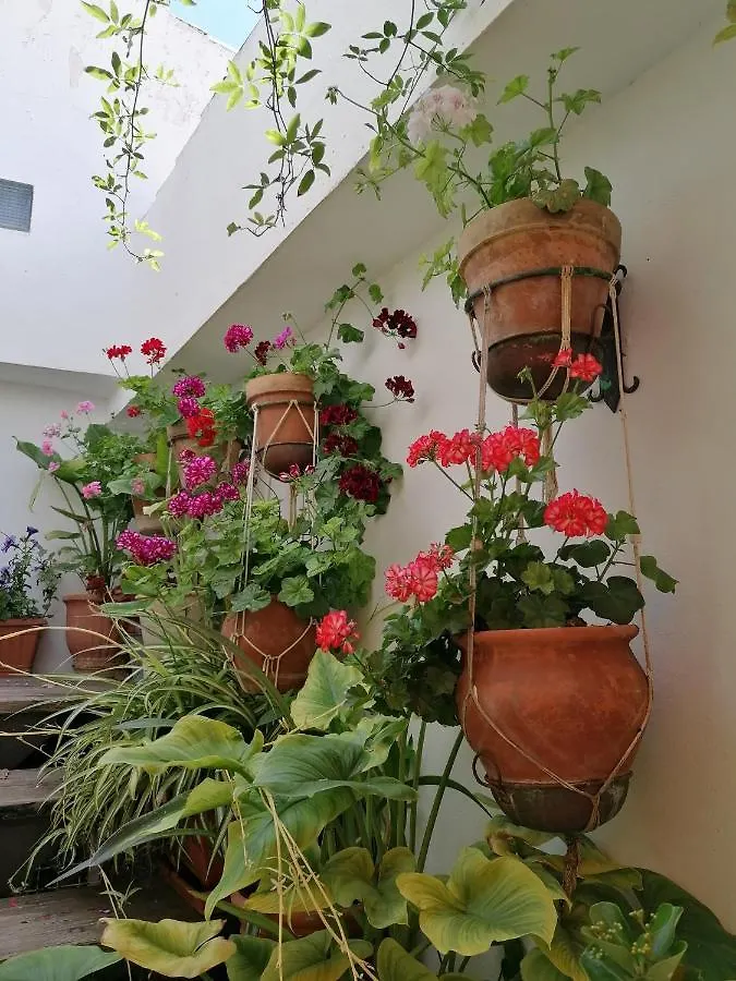 *** Guest house Balcon Del Velillos-
